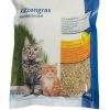 ANIMALLPARADISE Weiches Katzengras 100 Samen Zum Anbauen. -Katzenfutter Verkaufsgeschäft 46821578 1