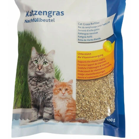 ANIMALLPARADISE Weiches Katzengras 100 Samen Zum Anbauen. 3 ANIMALLPARADISE Weiches Katzengras 100 Samen Zum Anbauen.