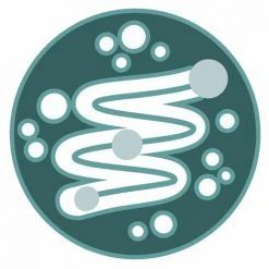 Purina Katzentrockenfutter Adult One Bifensis Dry Huhn 1,5kg 5kg Adult Purina 0629204292 One 7613035614437 -Katzenfutter Verkaufsgeschäft 59904268 4