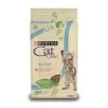 Essen, Purina Cat Chow Kitten FÙr Gatitos -Katzenfutter Verkaufsgeschäft 60450380 1
