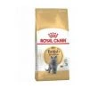 Essen, Royal Canin British Shorthair FÙr Erwachsene Katzen - 2 Kg -Katzenfutter Verkaufsgeschäft 60450493 1