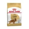 ROYAL CANIN Ich Glaube -Katzenfutter Verkaufsgeschäft 60450506 1