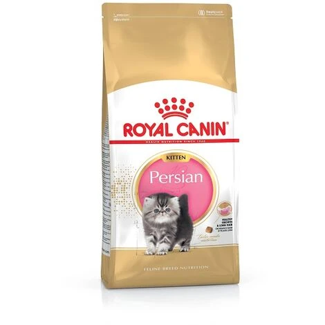 Essen, Royal Canin Kitten Persian FÙr Persisch Gatitos - 400g 3 Essen, Royal Canin Kitten Persian FÙr Persisch Gatitos - 400g