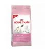 Essen, Royal Canin Mutter & Babycat FÙr Gatitos Und Frauen S_uglinge - 400 G 1 Essen, Royal Canin Mutter & Babycat FÙr Gatitos Und Frauen S_uglinge - 400 G -Katzenfutter Verkaufsgeschäft 60450616 1