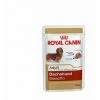 Royal Canin Dachshund Erwachsener 85 G HÜ _med Food FÙr Teckel (ab 10 Monaten) - 12 Umschl_ge 85 G -Katzenfutter Verkaufsgeschäft 60450730 1