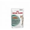 Royal Canin Instinktiv +7 85 G (Sauce) FÙr Katzen Aus 7 Jahren - 12 Umschl_ge 85 G -Katzenfutter Verkaufsgeschäft 60450733 1