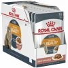 Royal Canin Intense Beauty 85G (Salsa) Sch_nheit Und Glanz Erwachsener Katzen - 12 Umschl_ge 85G -Katzenfutter Verkaufsgeschäft 60450739 1