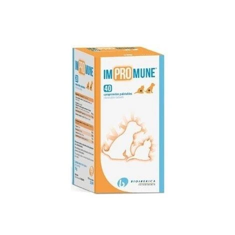 BIOIBERICA Immunmodulator FÙr Hunde Und Katzen 40 Tabletten 2 BIOIBERICA Immunmodulator FÙr Hunde Und Katzen 40 Tabletten