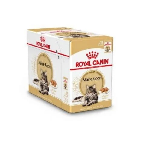 HÜ_medo Royal Canin Maine Coon Pat_, Box 12 Umschl_ge X 85 G 4 HÜ_medo Royal Canin Maine Coon Pat_, Box 12 Umschl_ge X 85 G – Bild 2