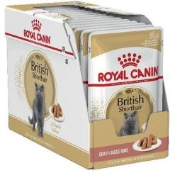 HÜ_medo Royal Canin Britisch -Shorthair Pat_, Box 12 Umschl_ge X 85 G