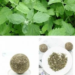 QERSTA 3X Katzenminze Ball I Katzenminze Ball I 100% Natürlich I Katzenminze Ball Carivent -Katzenfutter Verkaufsgeschäft 69498370 4