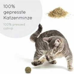 QERSTA 3X Katzenminze Ball I Katzenminze Ball I 100% Natürlich I Katzenminze Ball Carivent -Katzenfutter Verkaufsgeschäft 69498370 5